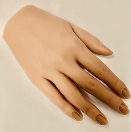 Soft silicone Practice and Display Hand 