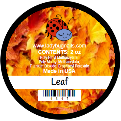 Autumn - Leaf