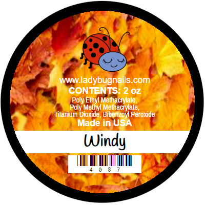 Autumn - Windy