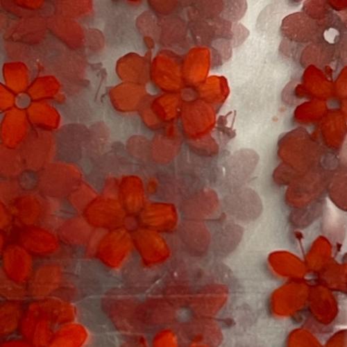 Dry Flowers Set J - 10 packs of 12 dry flowers each