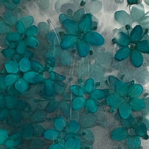 Dry Flowers Set K - 10 packs of 12 dry flowers each