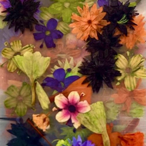 Dry Flowers Set Spooky Day - 10 packs of 12 flowers each