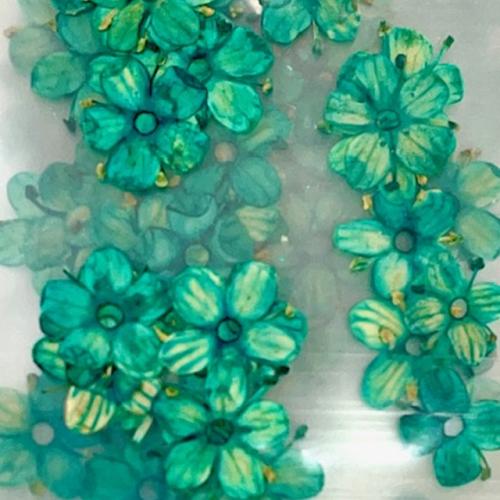Dry Flowers Set Summer Waves - 10 packs of 12 flowers each