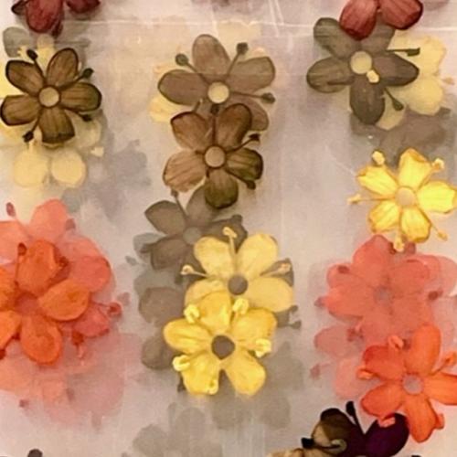Dry Flowers Set Autum`s - 10 packs of 12 flowers each