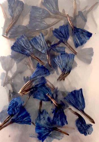  10 Packs Natural Dried Flowers Colorful Mixed-BB