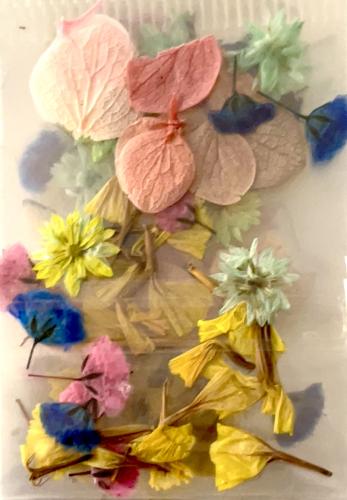 10 Packs NATURAL DRIED FLOWERS COLORFUL MIXED-EE