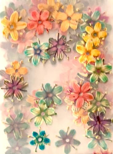  10 Packs NATURAL DRIED FLOWERS COLORFUL MIXED-GG 